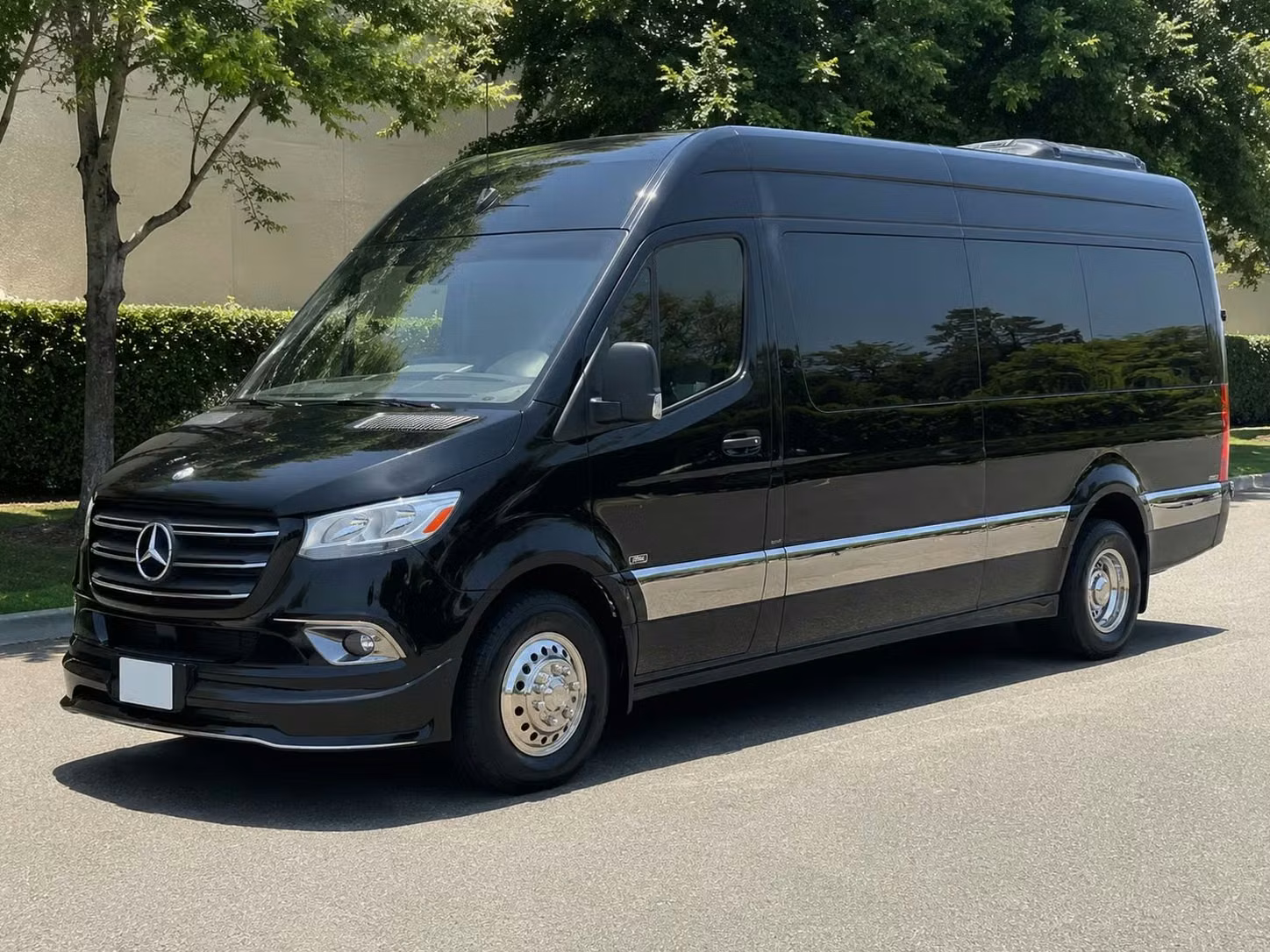 pine bluff sprinter van rental with driver